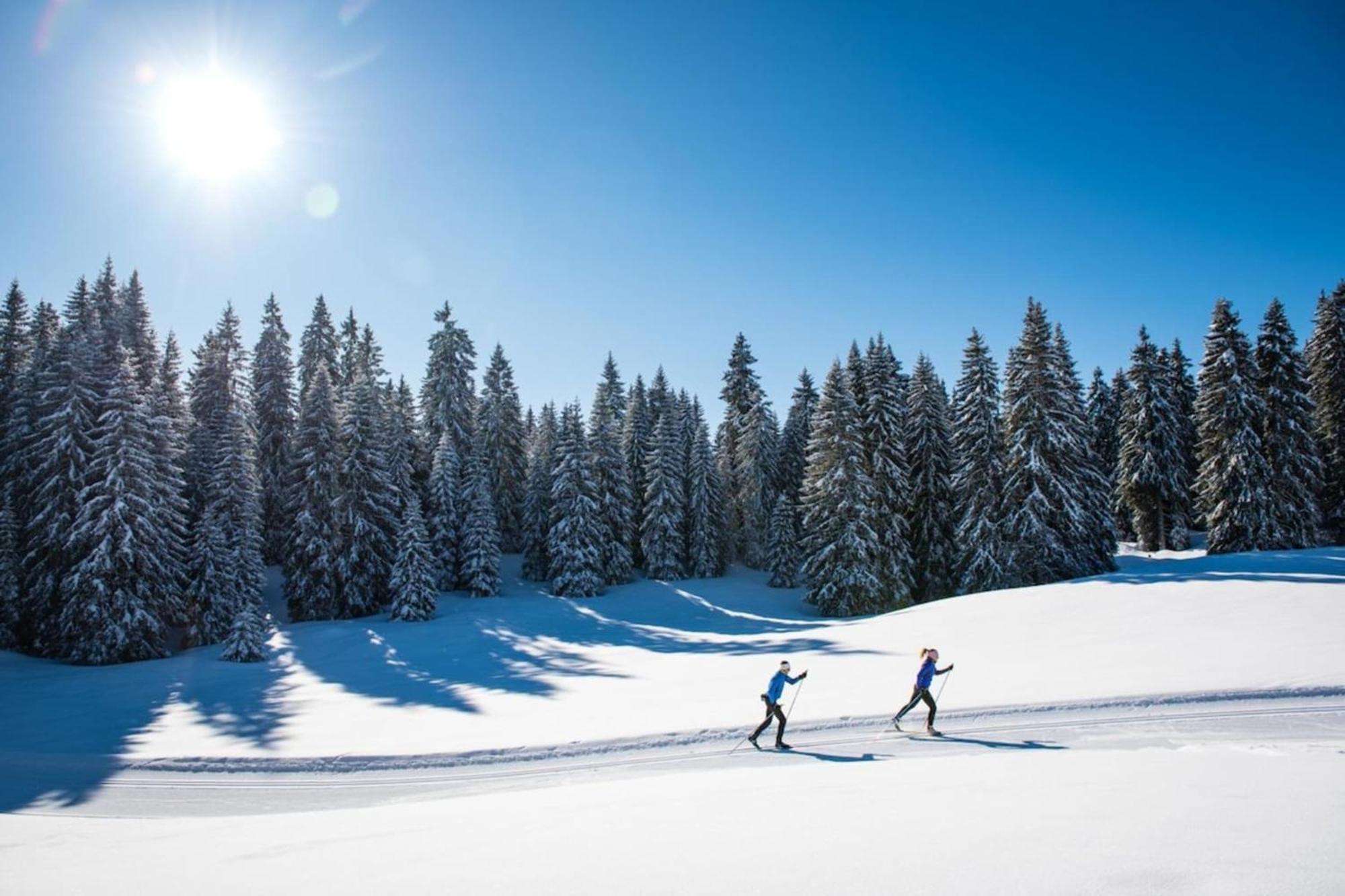 Superbe Appartement Au Pied Des Pistes -Le Chamois Les Déserts Εξωτερικό φωτογραφία
