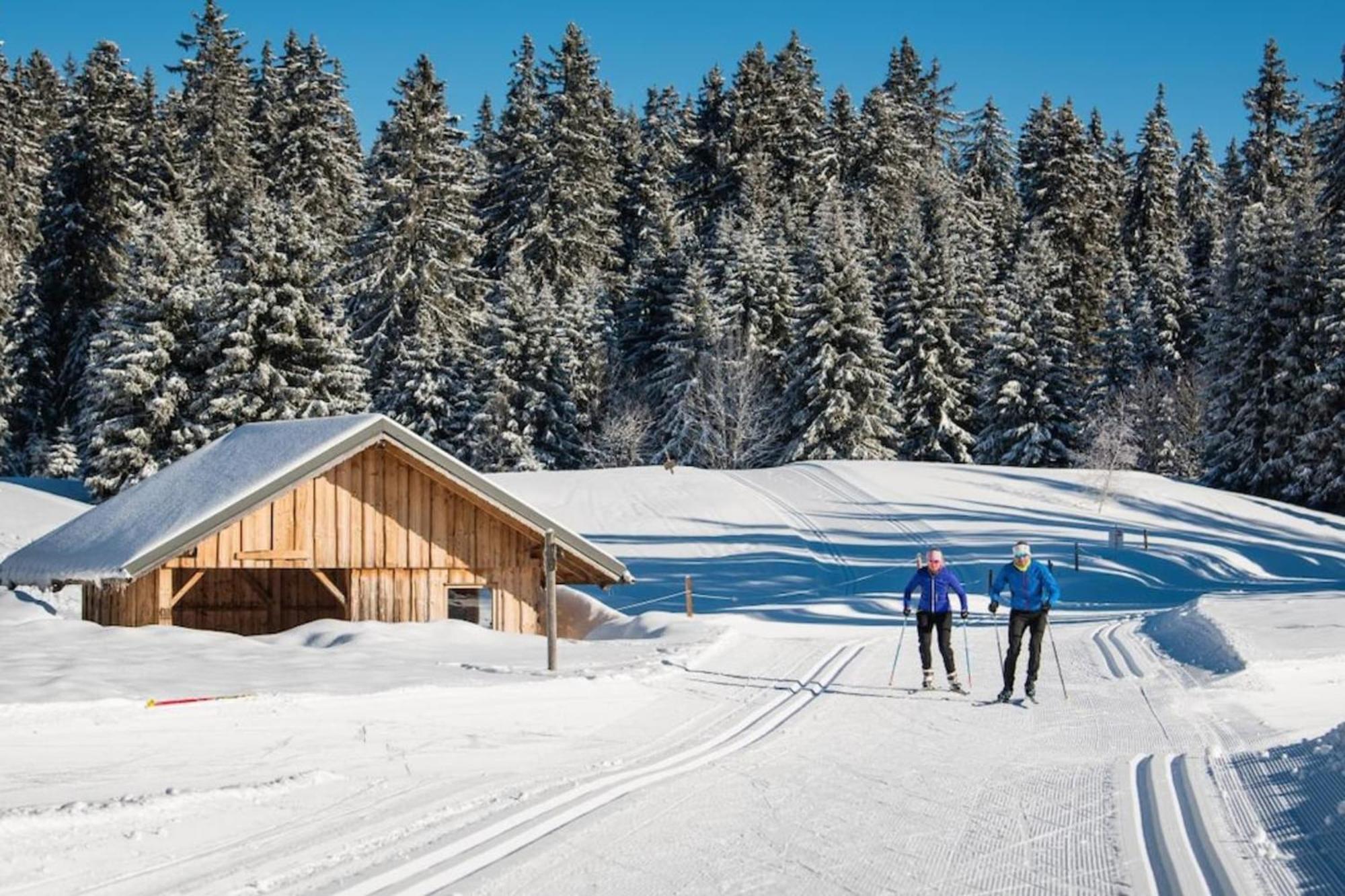Superbe Appartement Au Pied Des Pistes -Le Chamois Les Déserts Εξωτερικό φωτογραφία